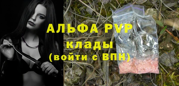 прущие крисы Богданович