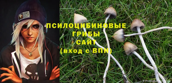 гидропоника Богородск