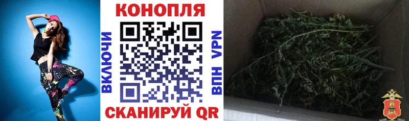 Конопля Bruce Banner Оренбург